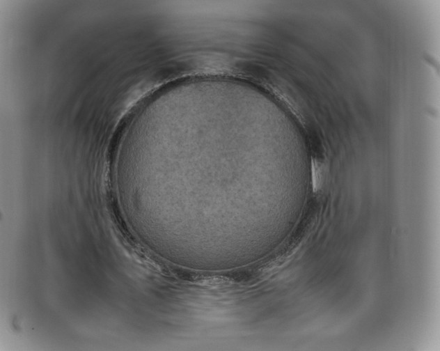 X0000099230579200805011138