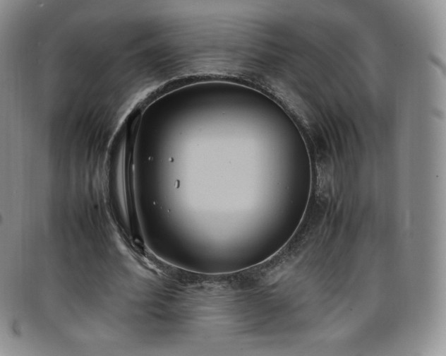 X0000099230580200805011138