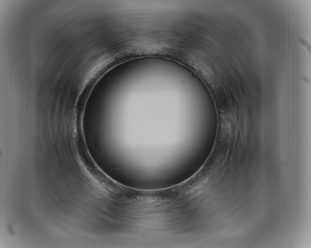 X0000099230582200805011138