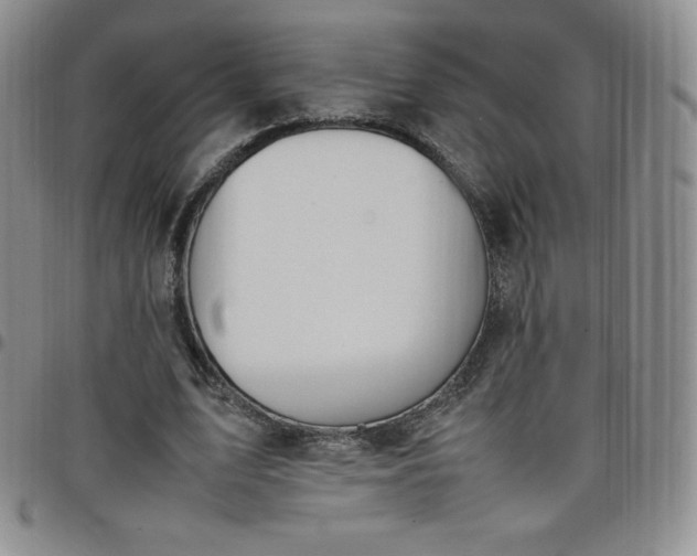 X0000099230583200805011138