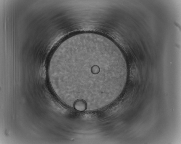 X0000099230584200805011138