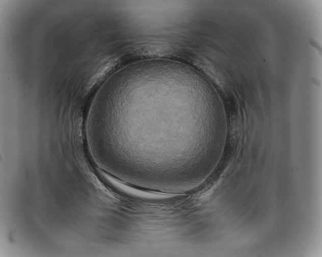 X0000099230585200805011138