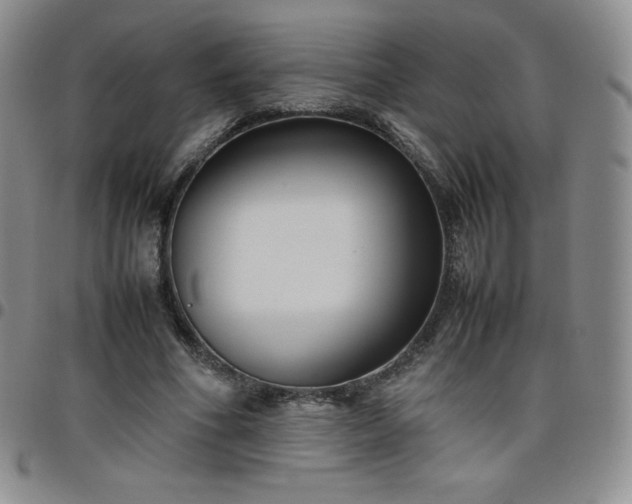 X0000099230586200805011138