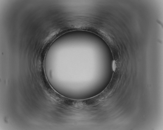 X0000099230587200805011138