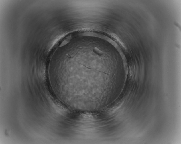 X0000099230588200805011138