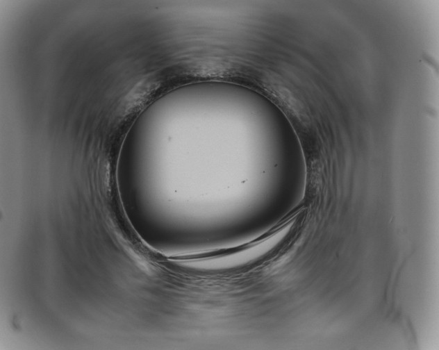 X0000099230589200805011138