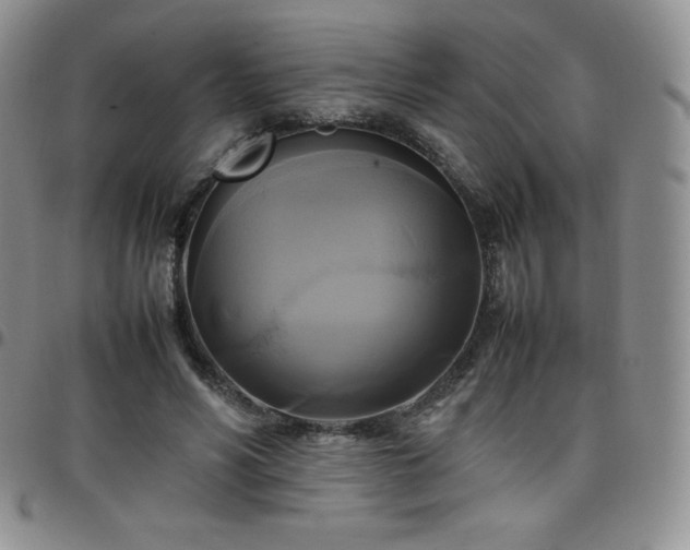 X0000099230590200805011138