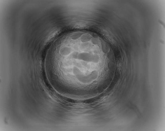 X0000099230591200805011138