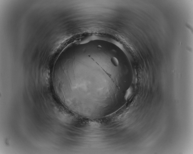 X0000099230592200805011138