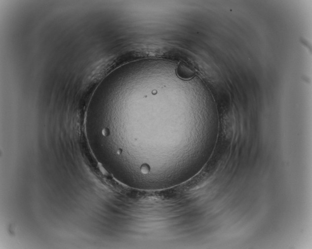 X0000099230594200805011138