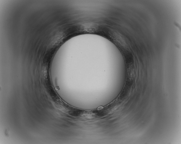 X0000099230595200805011138