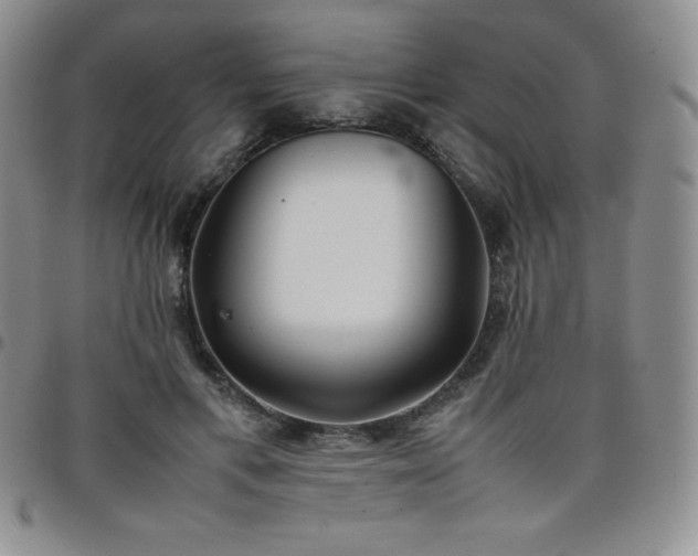 X0000099230597200805011138