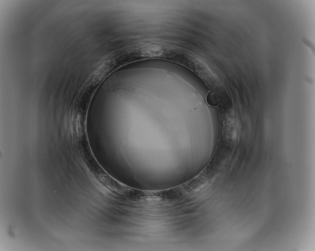 X0000099230598200805011138