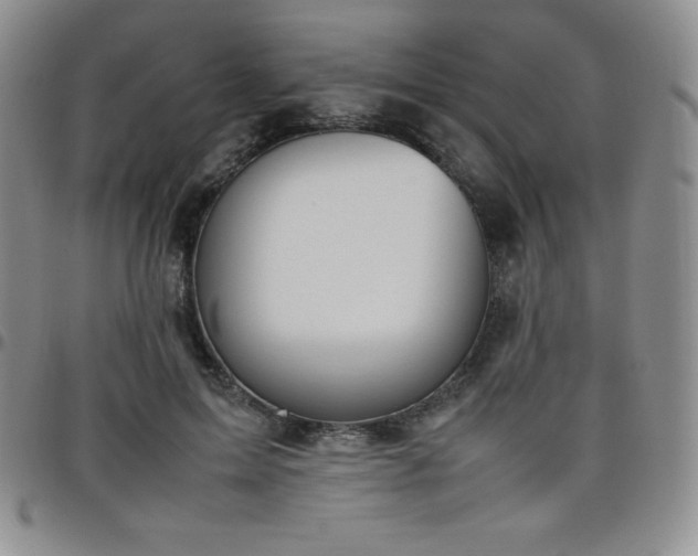 X0000099230599200805011138