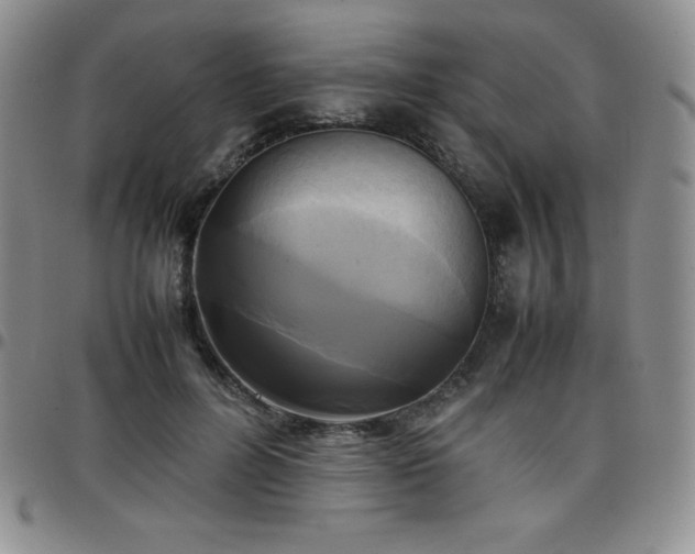 X0000099230600200805011138