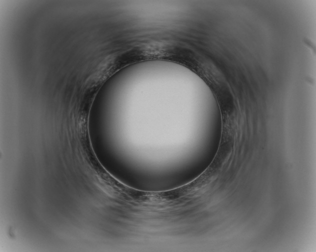 X0000099230601200805011138