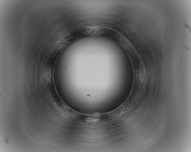 X0000099230602200805011138