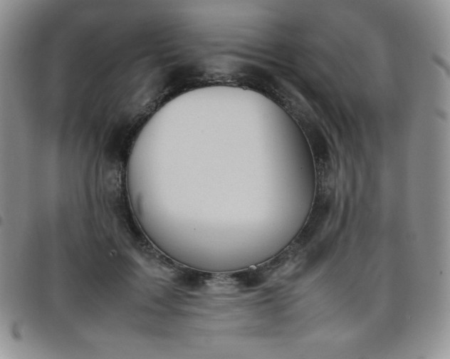 X0000099230603200805011138