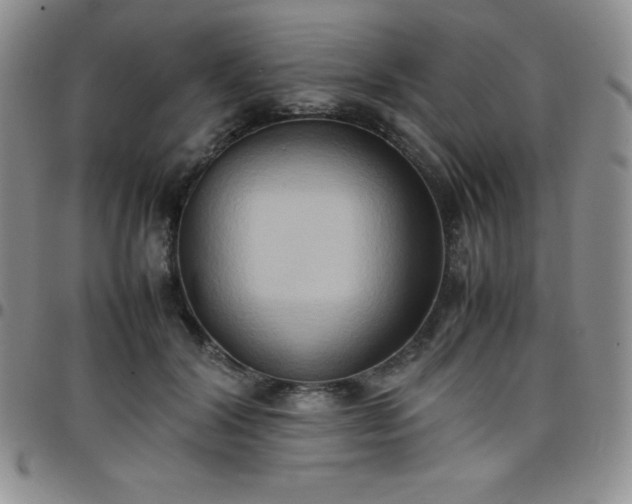 X0000099230604200805011138