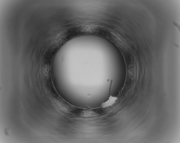 X0000099230605200805011138