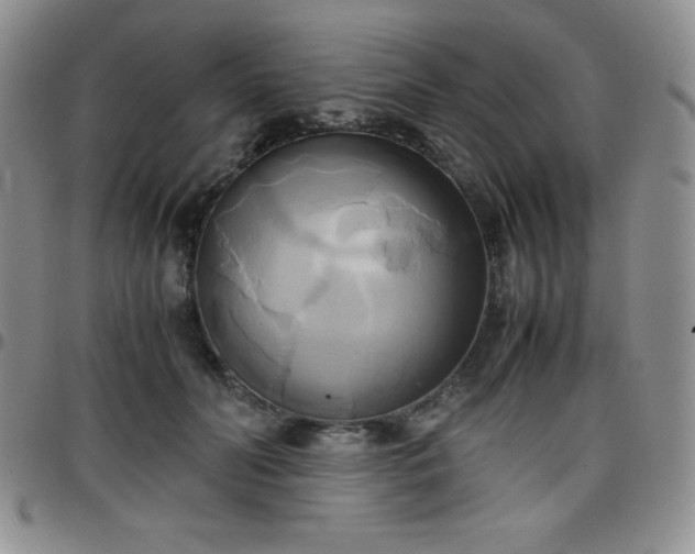 X0000099230606200805011138