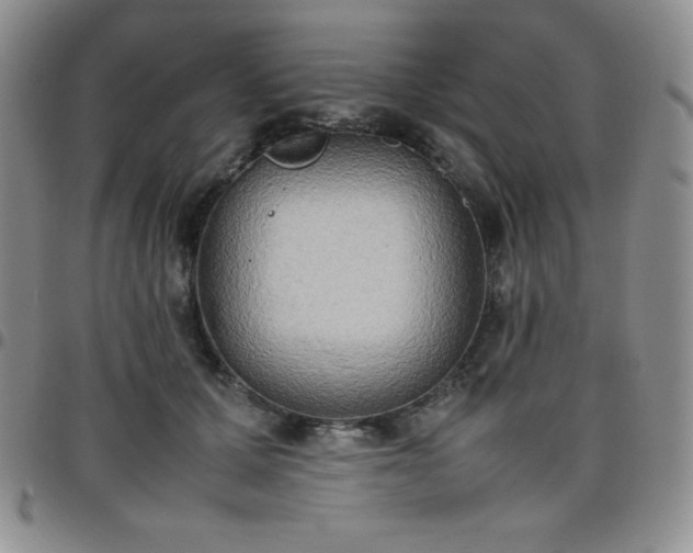 X0000099230607200805011138