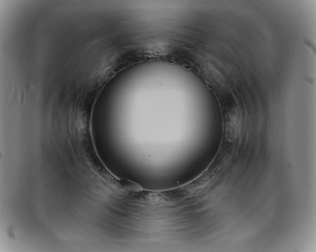 X0000099230608200805011138