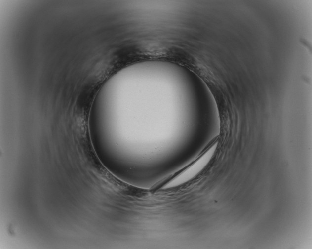 X0000099230609200805011138