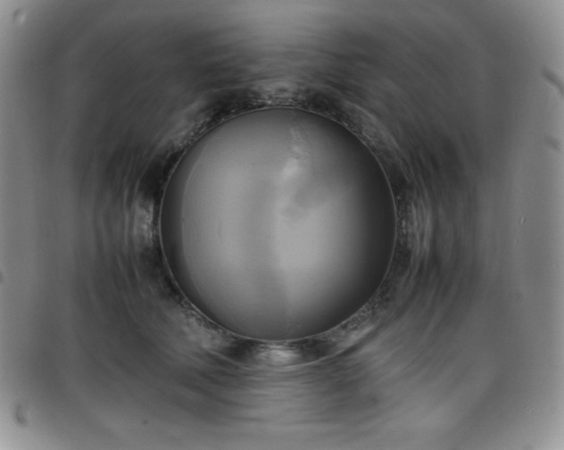 X0000099230610200805011138