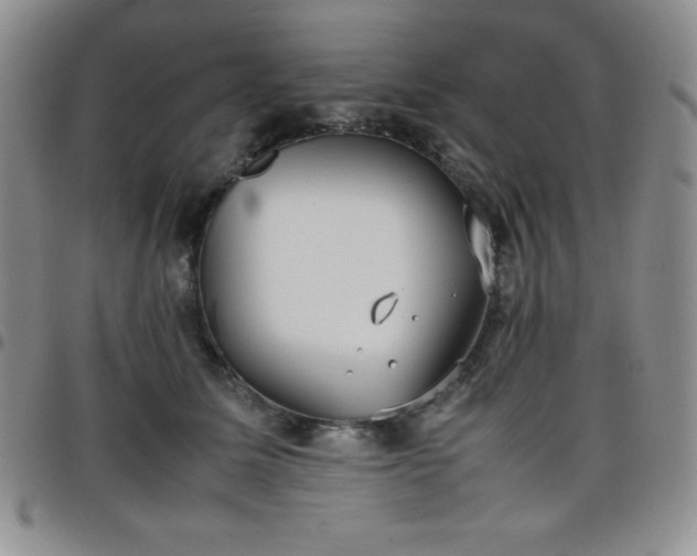 X0000099230611200805011138