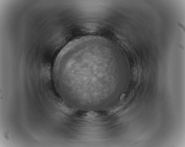 X0000099230612200805011138