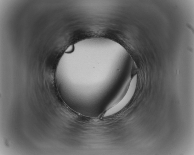 X0000099230613200805011138