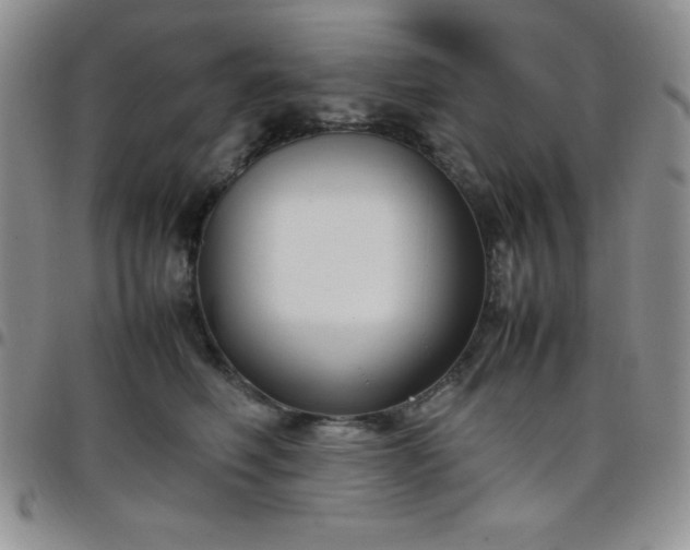 X0000099230614200805011138