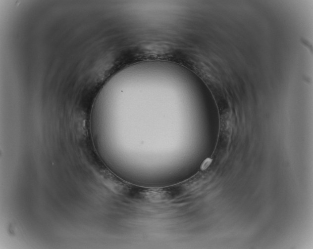 X0000099230615200805011138