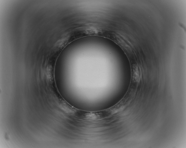 X0000099230616200805011138