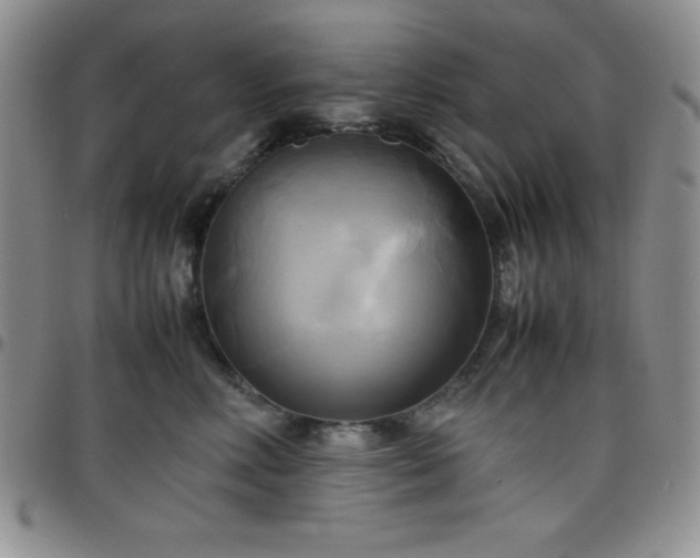 X0000099230618200805011138