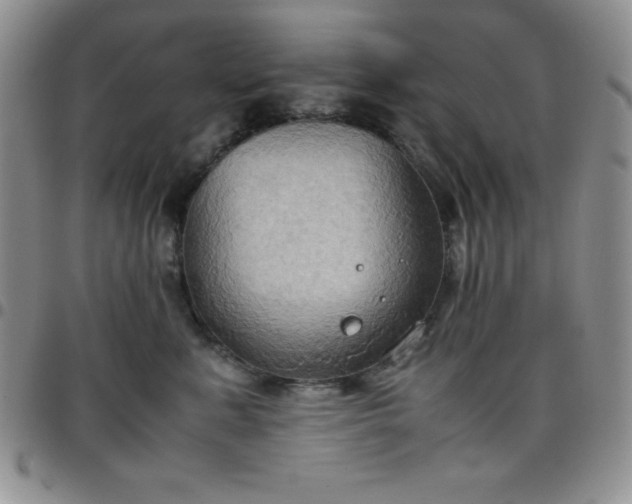 X0000099230619200805011138