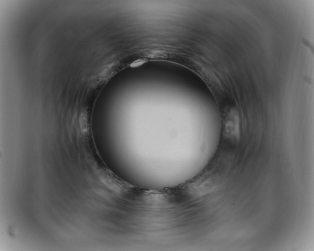 X0000099230620200805011138