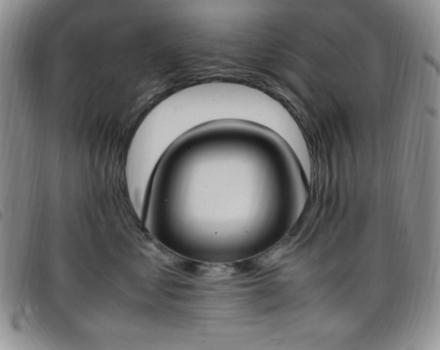 X0000099230621200805011138