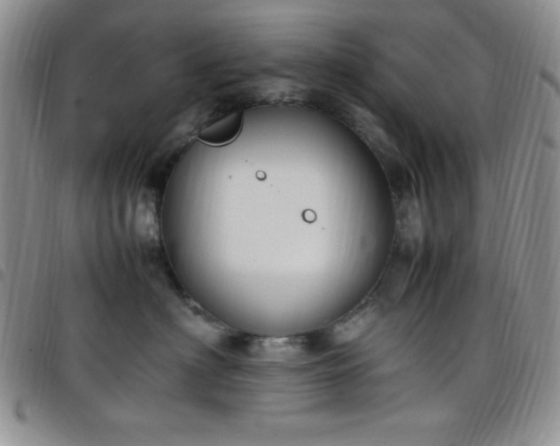 X0000099230622200805011138