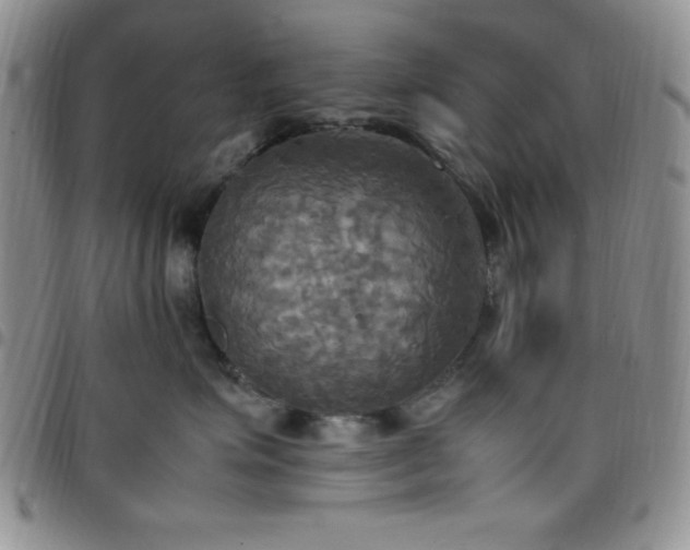 X0000099230623200805011138