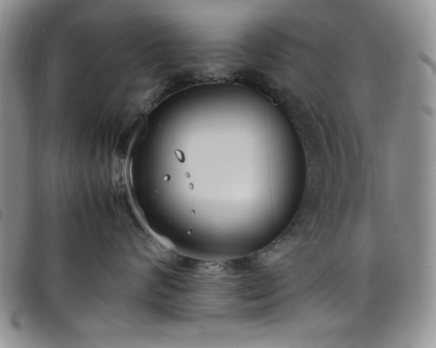 X0000099230624200805011138