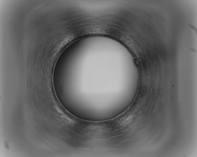 X0000099230625200805011137