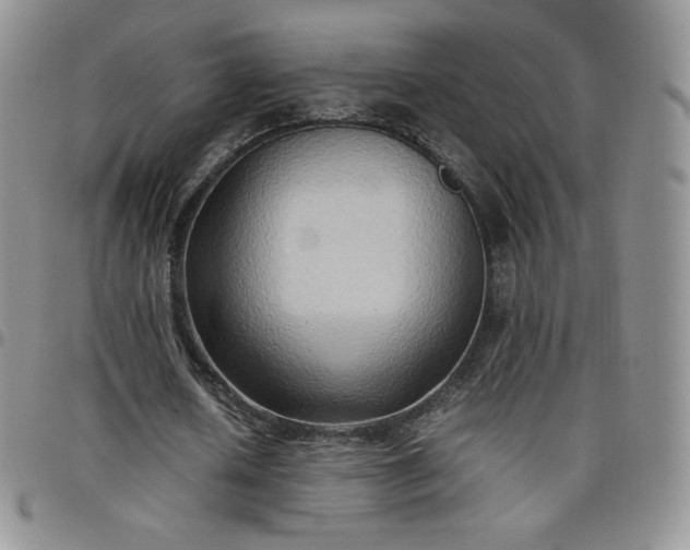 X0000099230626200805011137