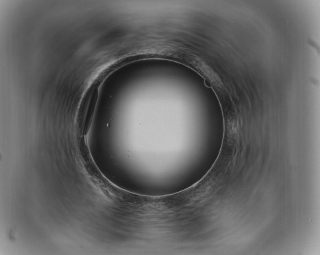 X0000099230628200805011137