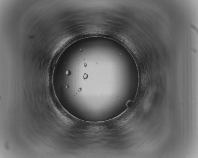 X0000099230629200805011137