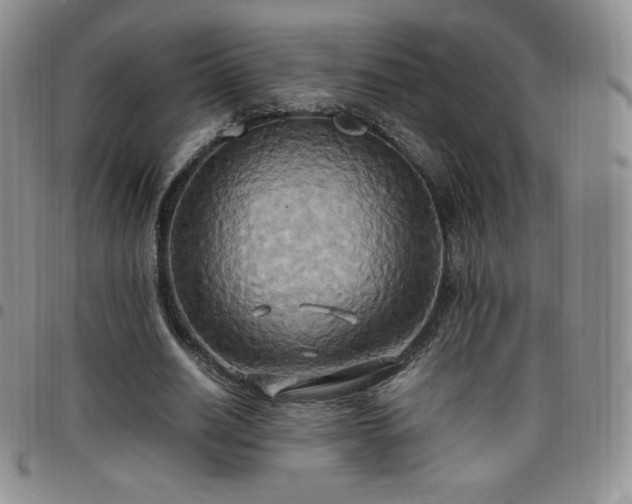 X0000099230630200805011137