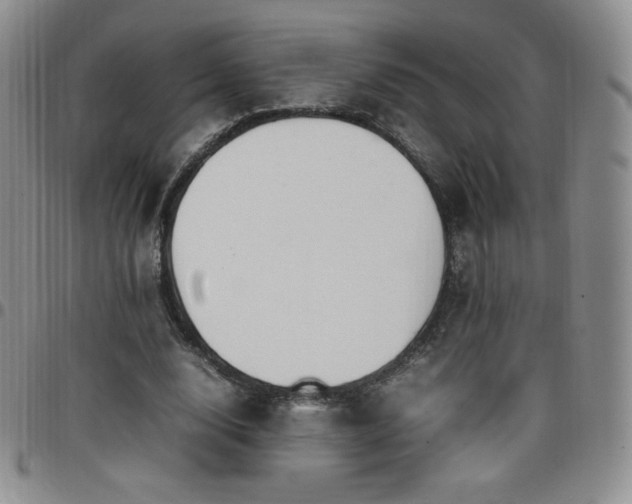 X0000099230632200805011137