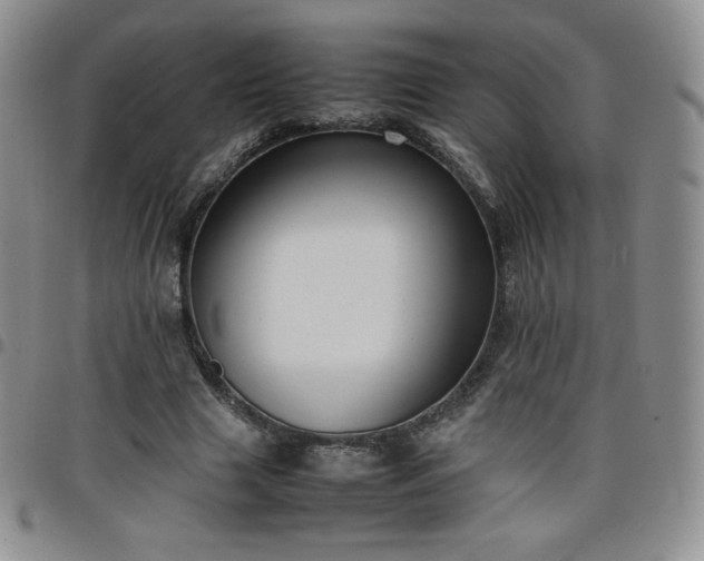 X0000099230633200805011137