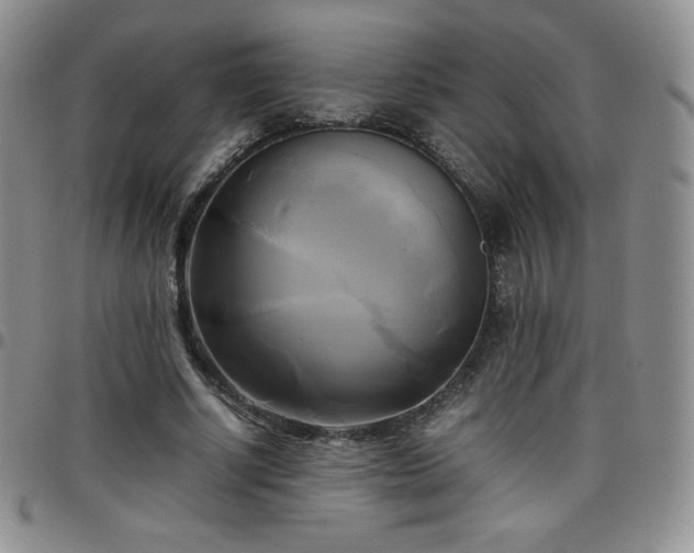 X0000099230634200805011137